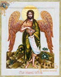 Икона Святой пророк Иоанн Креститель 30х37,5см - фото