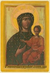 Икона Богородица Одигитрия Львовская Победительница - фото